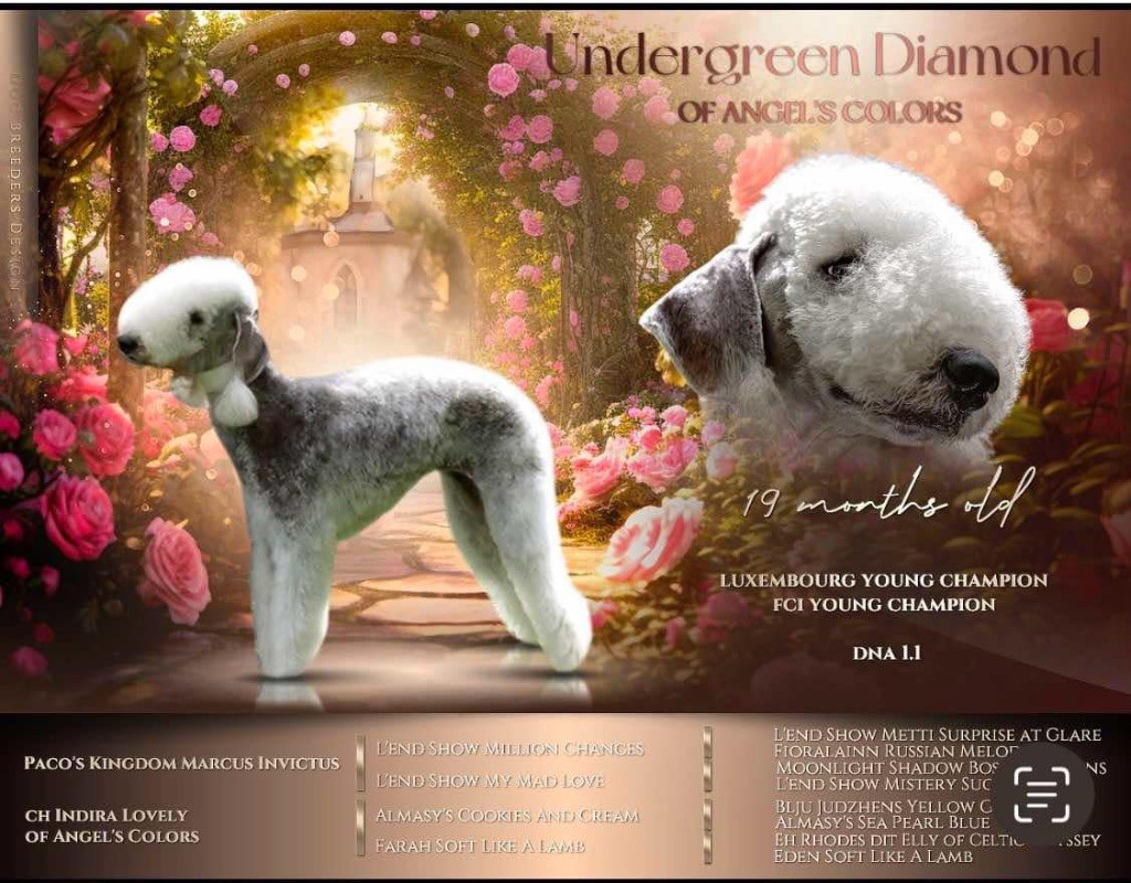 Undergreen diamond Of Angel's Colors