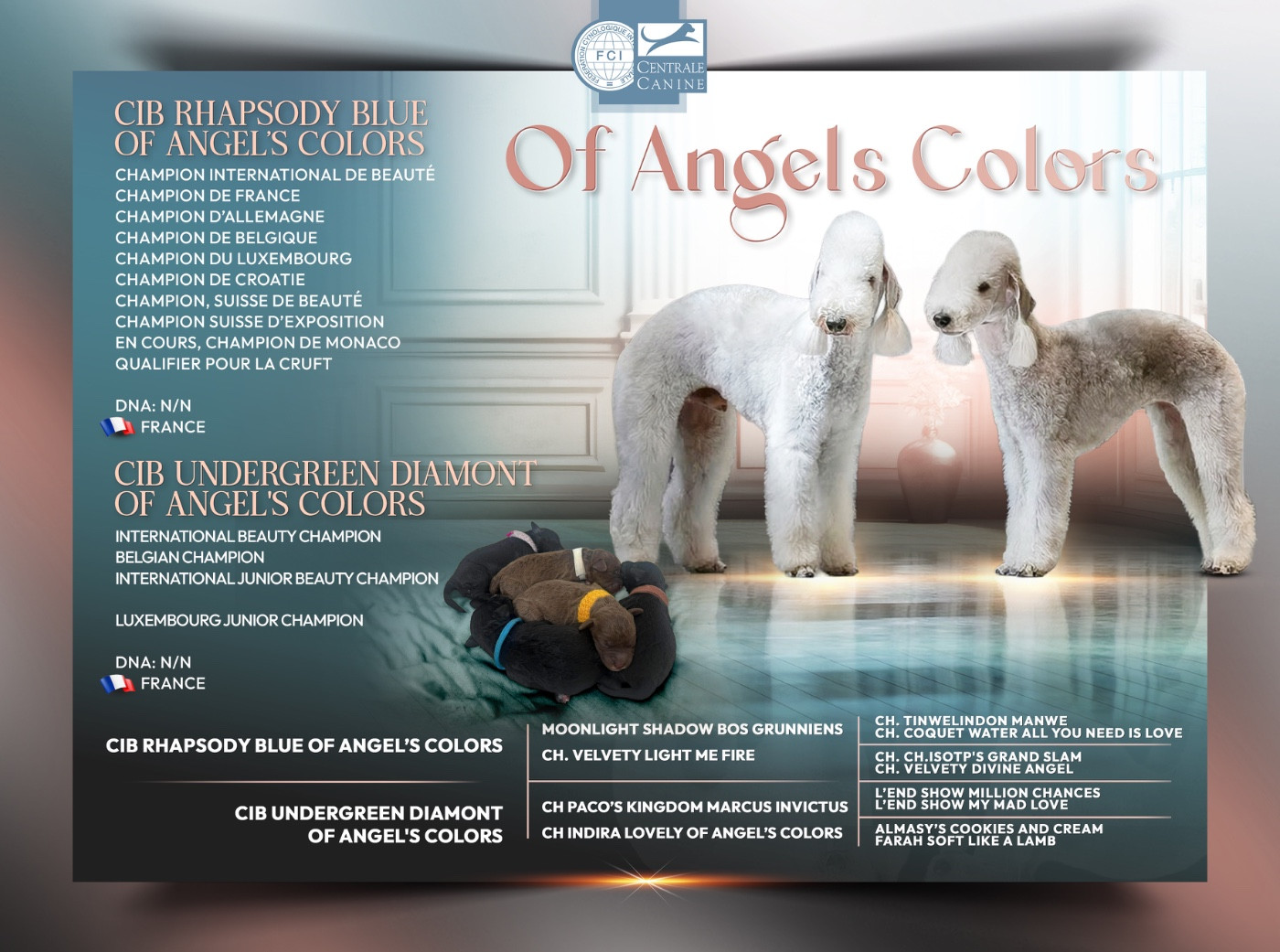 Naissance prévue fin, mai 2026